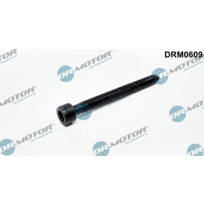 Dr.Motor Csavar, befecskendező fúvóka tartó DR. MOTOR DRM0609 autóalkatrész