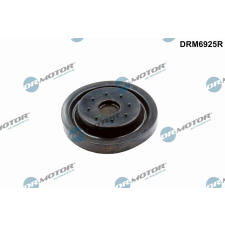 Dr.Motor Javítókészlet, forgattyúsház szellőztetés DR. MOTOR DRM6925R autóalkatrész