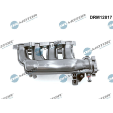 Dr.Motor szívócső modul DR. MOTOR DRM12817 autóalkatrész