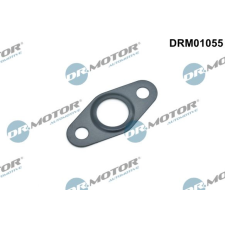 Dr.Motor Tömítés, olajleeresztő (töltő) DR. MOTOR DRM01055 autóalkatrész