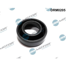 Dr.Motor tömítés, porlasztócsúcs-tartó DR. MOTOR DRM0205 autóalkatrész