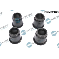 Dr.Motor tömítés, porlasztócsúcs-tartó DR. MOTOR DRM0248S autóalkatrész