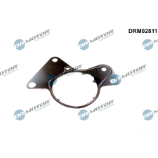 Dr.Motor tömítés, üzemanyag-szivattyú DR. MOTOR DRM02811 autóalkatrész