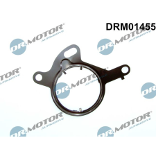 Dr.Motor tömítés, vákuumszivattyú DR. MOTOR DRM01455 autóalkatrész