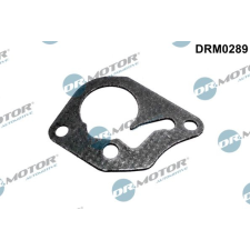Dr.Motor tömítés, vákuumszivattyú DR. MOTOR DRM0289 autóalkatrész