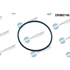 Dr.Motor tömítés, vákuumszivattyú DR. MOTOR DRM0746 autóalkatrész