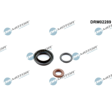 Dr.Motor Tömítéskészlet, befecskendező fúvóka DR. MOTOR DRM02289 autóalkatrész
