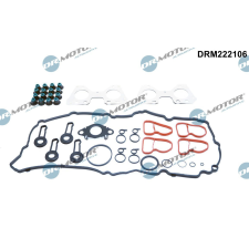 Dr.Motor tömítéskészlet, hengerfej DR. MOTOR DRM222106 autóalkatrész