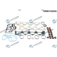 Dr.Motor tömítéskészlet, hengerfej DR. MOTOR DRM310202S autóalkatrész