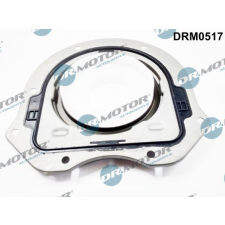 Dr.Motor tömítőgyűrű, főtengely DR. MOTOR DRM0517 autóalkatrész