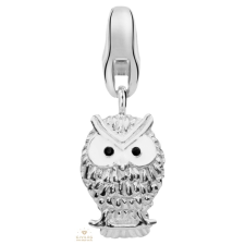 Dream Charms Dream Bagoly charm - DC-464 egyéb ékszer