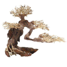 DUPLA Bonsai M - Természetes fa dekoráció édesvízi akváriumba 30x15x23 cm akvárium dekoráció