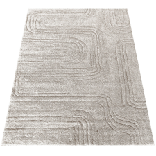 Dywanopol Dywan Serenity 01 Beige 120 x 170 cm lakástextília