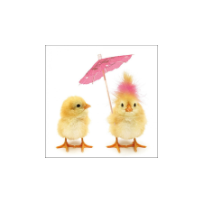 Easter Chicks papírszalvéta 33x33cm,20db-os asztalterítő és szalvéta