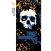 Edgar Allan Poe - Az aranybogár - Trubadúr Zsebkönyvek 47.