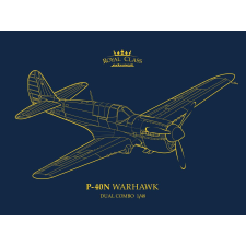  Eduard P-40N WARHAWK ROYAL CLASS DUAL COMBO 1:48 (R0025) makett