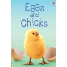  Eggs and Chicks – Fiona Patchett idegen nyelvű könyv