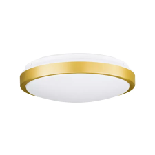 EGLO 31223 LED fali-mennyezeti lámpa 15,6W 1900lm 3000K IP20 E Lezuza világítás