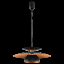 EGLO Eglo Brenda 31666 függeszték, 1x60W E27 világítás