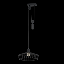 EGLO Eglo WINKWORTH 43437 függeszték, 1x40W E27 világítás