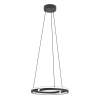 EGLO Mezzomonte fekete LED függesztett lámpa (EG-901822) LED 2 izzós IP20