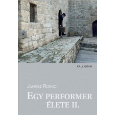 Egy performer élete II. regény