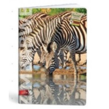 egyéb City Travel A4 kockás füzet, Zebra (1 db) füzet
