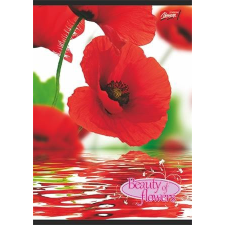 egyéb Virág - Flowers A4 kockás füzet, Piros virág füzet