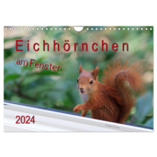  Eichhörnchen am Fenster (Wandkalender 2024 DIN A4 quer), CALVENDO Monatskalender – Tobias Freise naptár, kalendárium