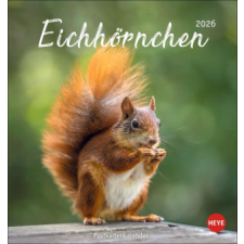  Eichhörnchen Postkartenkalender 2026 naptár, kalendárium