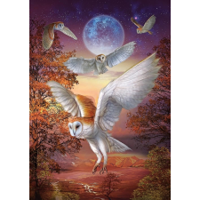 Éjszakai Baglyok Puzzle 1000 Darabos puzzle, kirakós