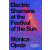  Electric Shamans at the Festival of the Sun – Sarah Booker (Puha kötésű)