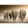  Elefántcsorda tapéta, 300 x 200 cm