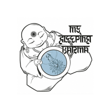 ELEKTROHASCH My Sleeping Karma - Satya (Cd) rock / pop