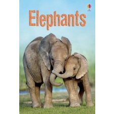  Elephants – James Maclaine idegen nyelvű könyv