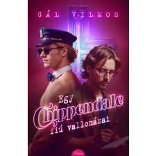 Eleven Kiadó Kft. Egy Chippendale-fiú vallomásai regény