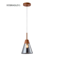 Elmark BRADLEY függeszték 1XE27 világítás