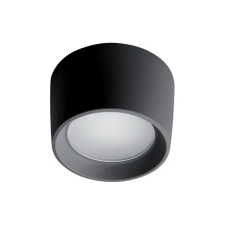 Elmark LIVIA 160 LED MENNYEZETI LÁMPA 10W CCT 4000K IP55 FEKETE világítás