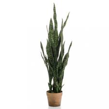 Emerald műanyósnyelv cserépben 84 cm kerti dekoráció