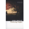 Emily Brontë Wuthering Heights