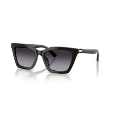 Emporio Armani EA4250U 50178G SHINY BLACK GRADIENT GREY napszemüveg
