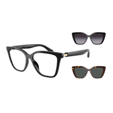Emporio Armani EA4254U 50171W Shiny Black Clear napszemüveg napszemüveg