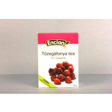 ENCIAN TŐZEGÁFONYA TEA 50G gyógytea