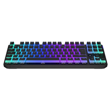 Endorfy Keyboard Endorfy Thock TKL Wireless (EY5D017) billentyűzet