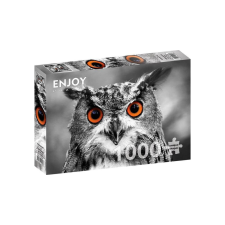 Enjoy 1000 db-os puzzle - Curious Owl (1626) puzzle, kirakós