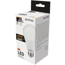  Entac LED Globe E27 10W NW 4000K izzó