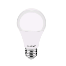 Entac LED Globe E27 10W WW 3000K izzó