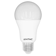 Entac LED Globe E27 12W CW 6400K izzó