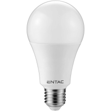 Entac LED Globe E27 18W CW 6400K izzó
