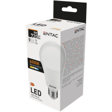  Entac LED Globe E27 8W NW 4000K izzó